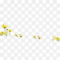 黄色春天美景花朵