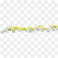 黄色春天郊外花朵美景草地