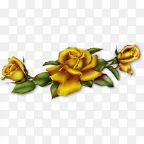 黄色手绘玫瑰花朵