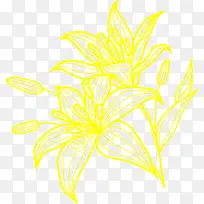 手绘黄色线条花朵