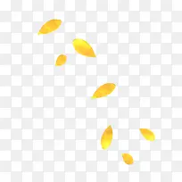 黄色花瓣漂浮花朵