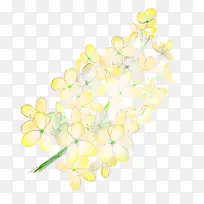 唯美清新森系手绘黄色花朵