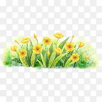 手绘黄色春季花朵装饰