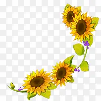 手绘黄色向日葵花朵装饰