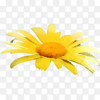 手绘花朵黄色可爱