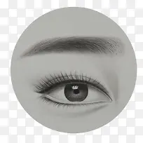 眼睛和眉毛