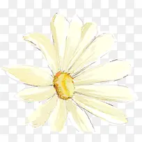 黄色浪漫花朵手绘