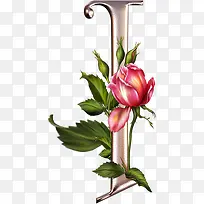 绿叶红花字母i