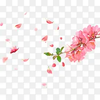 粉色桃花