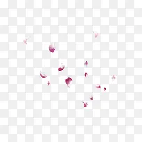 花瓣素材