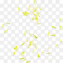 黄色清新花瓣漂浮素材
