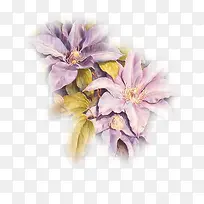 花草装饰素材