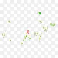花花草草