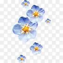 蓝色渐变花朵花瓣
