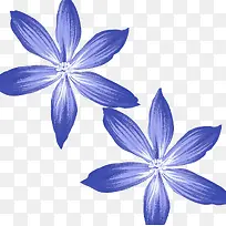 蓝色浪漫花朵