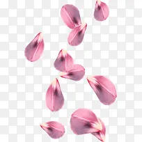 花瓣