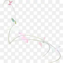 花枝