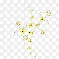 黄色小花