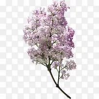 花束