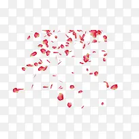 漂浮红色花瓣