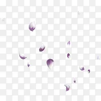 紫色手绘花瓣漂浮素材
