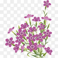 装饰花纹