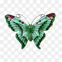 绿色蝴蝶翅膀