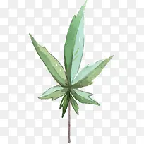 手绘植物PNG下载