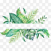 绿色手绘的植物边框
