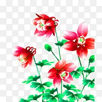 红色小花