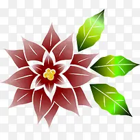 红色的圣诞花