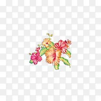 美丽的花朵