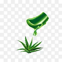 芦荟