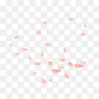 粉红色花瓣png矢量素材