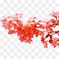 春季粉红色桃花装饰