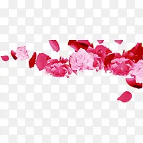 中秋节粉红色花朵花瓣