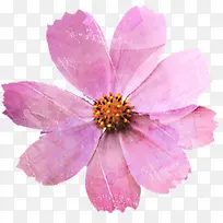 水彩合成粉红色的花瓣效果