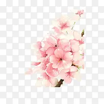 手绘桃花