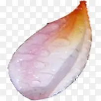 端午节粉红色花瓣