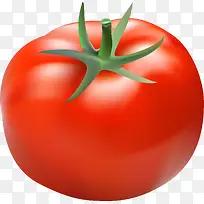 红色蔬果西红柿