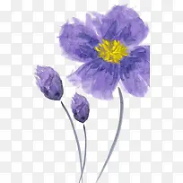 手绘紫色鲜花黄色花蕊