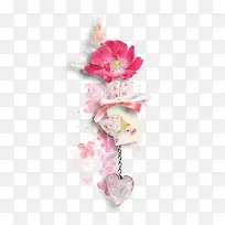 粉色蔷薇花