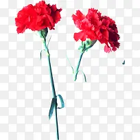 红色鲜花花朵设计装饰