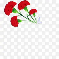 红色鲜花花朵植物母亲节花束
