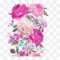花卉