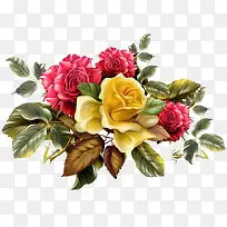 古典手绘鲜花