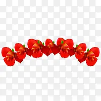 红色鲜花花朵装饰