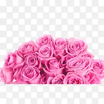 一束粉色玫瑰
