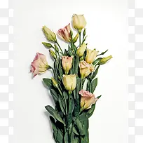 粉色鲜花花束装饰图案