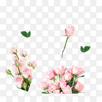 粉色玫瑰花束装饰图案